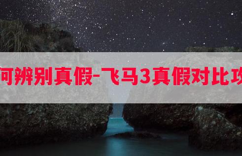 飞马如何辨别真假-飞马3真假对比攻略游戏