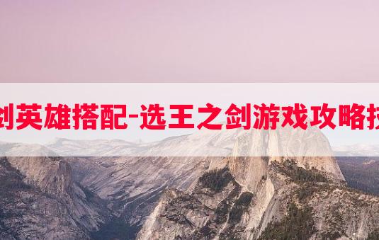 选王之剑英雄搭配-选王之剑游戏攻略技巧大全