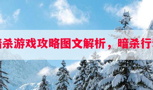 军营暗杀游戏攻略图文解析，暗杀行动攻略