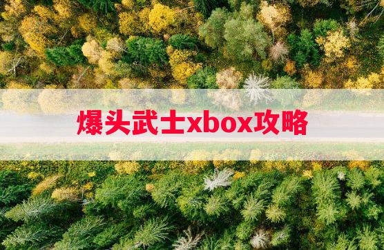 爆头武士xbox攻略