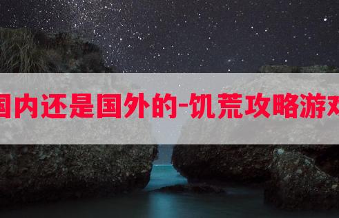 饥荒攻略游戏推荐国内还是国外的-饥荒攻略游戏推荐国内还是国外