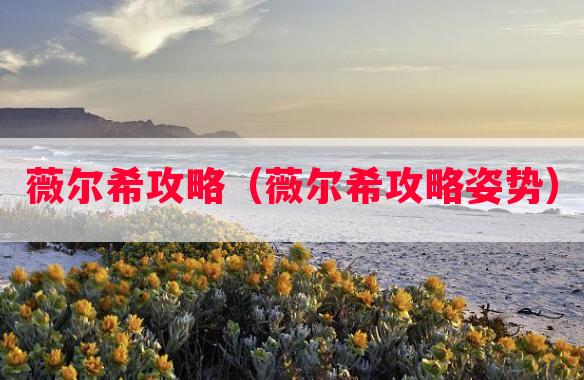 薇尔希攻略（薇尔希攻略姿势）