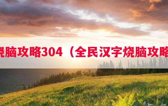 烧脑攻略304（全民汉字烧脑攻略）